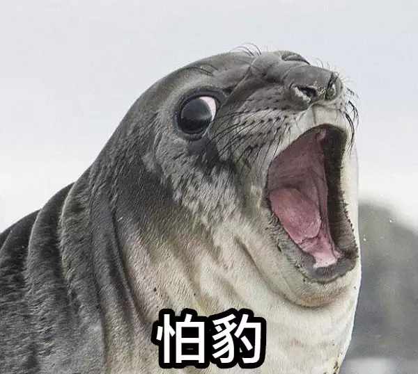 最新消息 - 封面