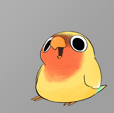 test banner